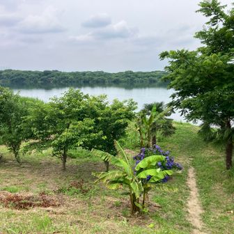 恋が浜