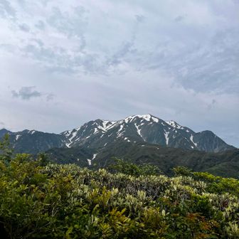 上高地で見た景色に少し似てる気がした