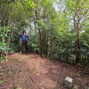 野根山、登頂‼️
四国百名山(96/100座)