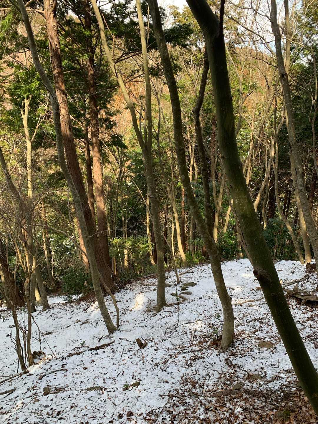日向薬師バス停-日向薬師-日向山登山道入口-日向山 往復コースの写真