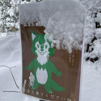 また来ます。🐺