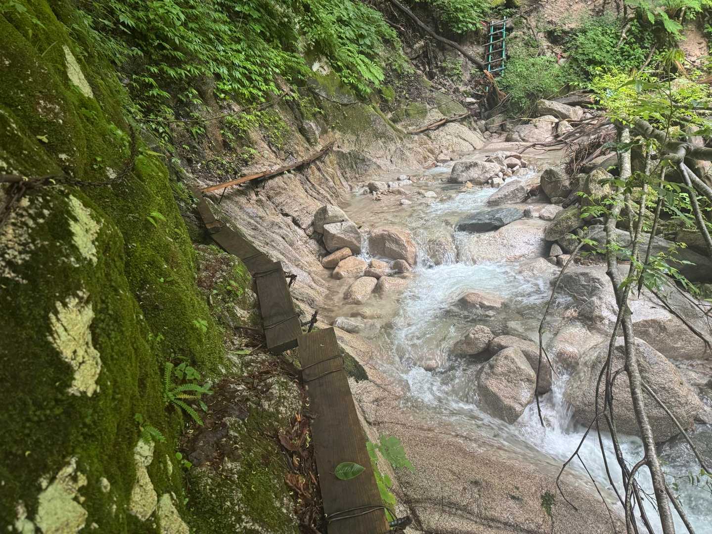 名物！
餓鬼の遊歩道💦