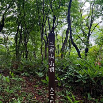 三登山⛰️に登頂です🥳🙌
ベンチがあったよ♪