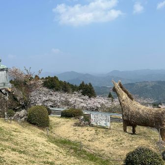 馬と桜
桜花賞🌸🐴