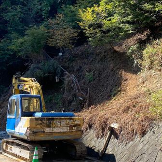 迂回路の案内がわかりづらく、道標も目立たずでした。要注意