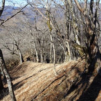以前登った伊勢沢ノ頭北西尾根。途中に絶景スポットがある