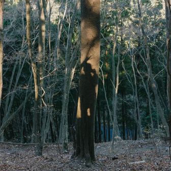 寒すぎて頭おかしくなってます