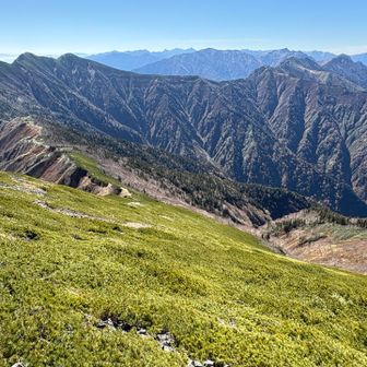布引山から下りて、冷池山荘までの緩やかな区間は気持ちよく歩けます