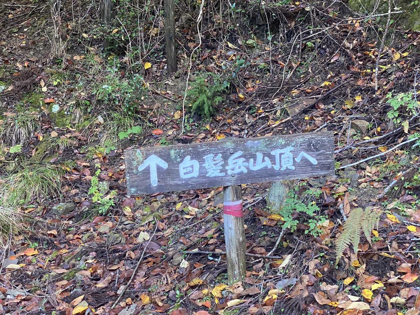 いざ！