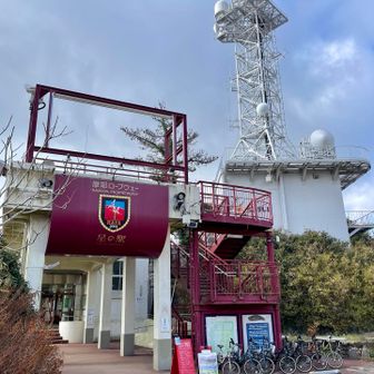 カフェをチラ見しました。