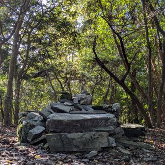 🙏
この先のルートで山道直下で物音がし
直後に結構デカイ黒い塊が
俺の進行方向に走り抜けて行った…
カモシカやイノシシかもですが
クマの可能性もありますのでご注意!!