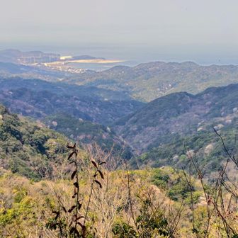 山肌にはヤマザクラ、その向こうには瀬戸内海…