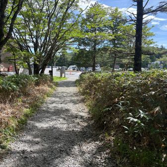 駐車場まで戻りました！
お疲れ山でした⛰️
