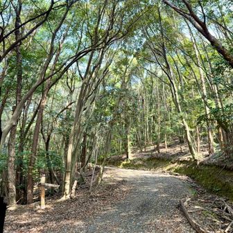 この辺り
雰囲気好き😊