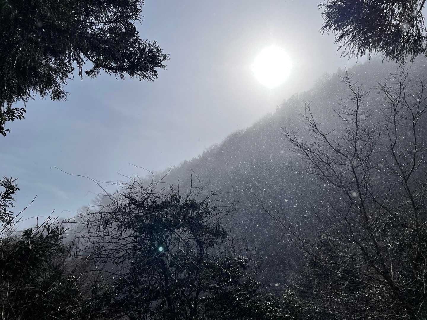 しばらく下ると陽がさして来ました☀️