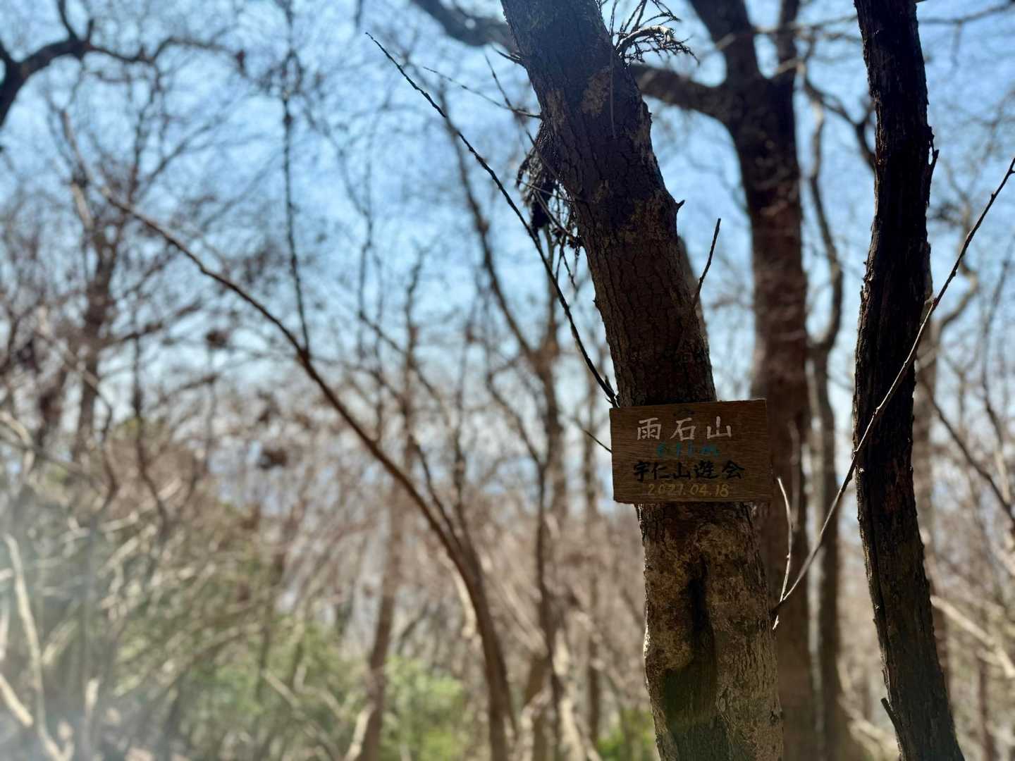 木の根元の山頂標識しか無いのかと思ったら、ほかにもあった😆👍✨

山頂で啄木鳥が穴を開けてる音が聞こえてきて、近いかも︎⁉︎と皆んなでキョロキョロ探してみたけど見つけられず🤭