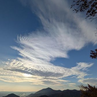 綺麗だぁ〜✨️タツマキみたい〜🌪️🌤️