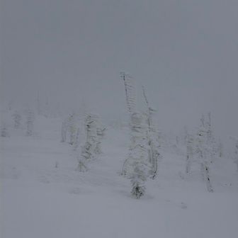 真っ白けー
これ、熊野岳厳しくない？