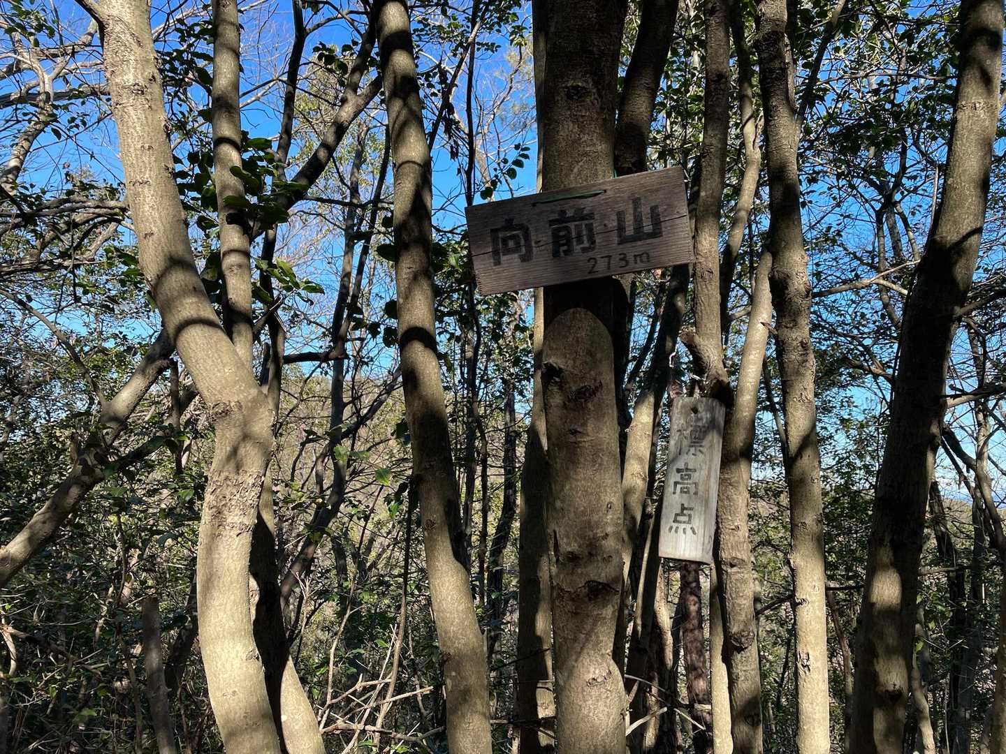 二つ目は周回方向の向前山⛰️