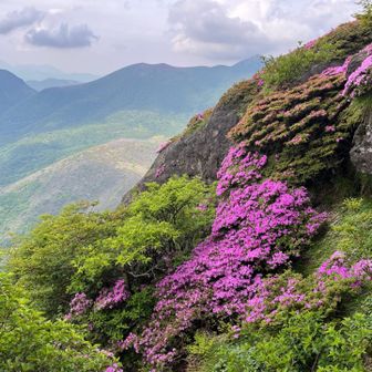 白口岳からの下山は崩落箇所やロープ、黒土ゾーンがあったりと想像通り苦手な下りでした