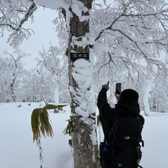 今流行り？の札幌150峰