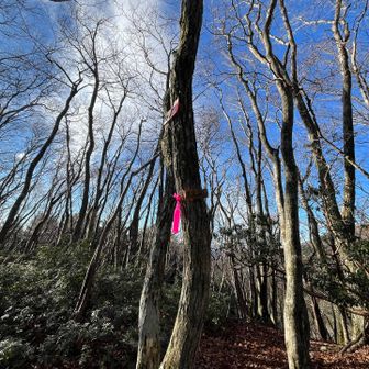 三人山山頂
「三人山だから、三人で来ないとね」
と言ってもらえてうれしかった〜💛

私としては、道の心配もなく
予想以上に早く来れた！
感謝です