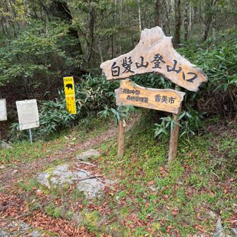 白髪山登山口からスタート
駐車場🅿️は1台しか駐ってなかったな…