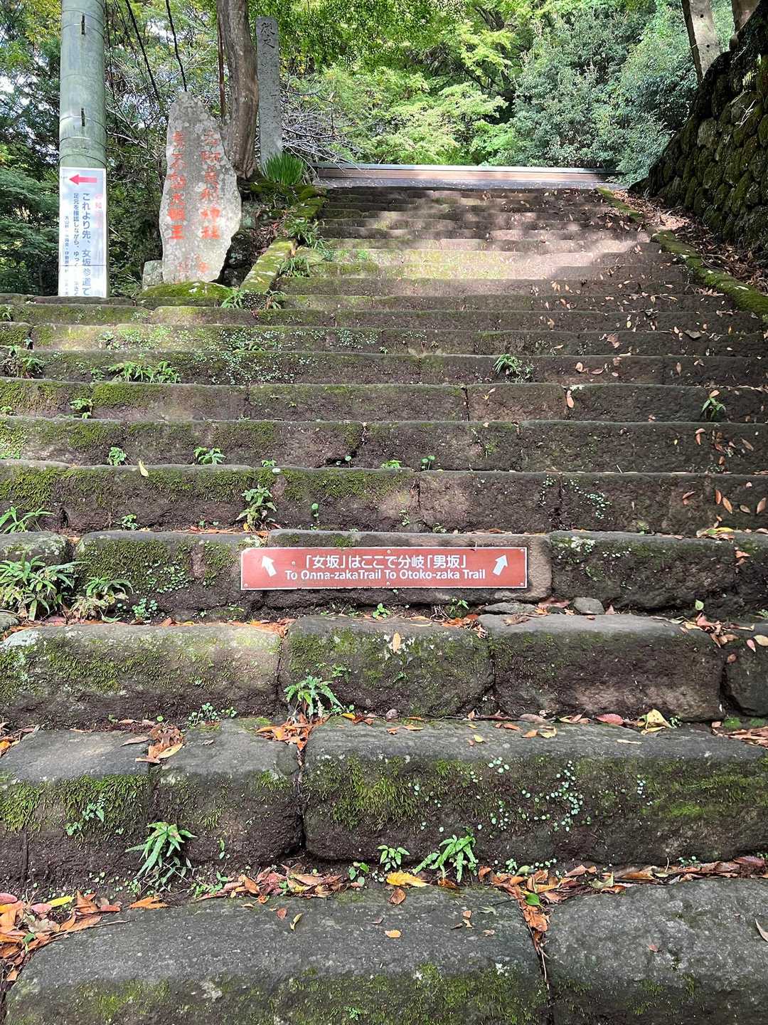 前回は女坂だったので、今回は男坂、、だがかなり辛い！段差が大きいのです。