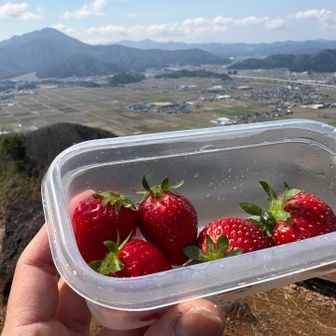 いちご❣️❣️❣️