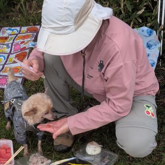 スジュンさん、はなちゃんには食べやすく小さくしてくれてます☺️🍉