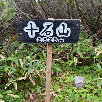 2500m峰　130/151
十石山👍