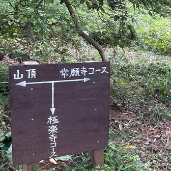 常願寺コースは、こっちね。
🍉を食べておられるチームあり。
正しい夏の過ごし方を知っている！