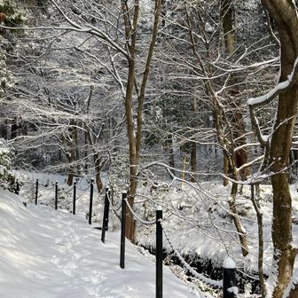 リフト乗り場へ続く道