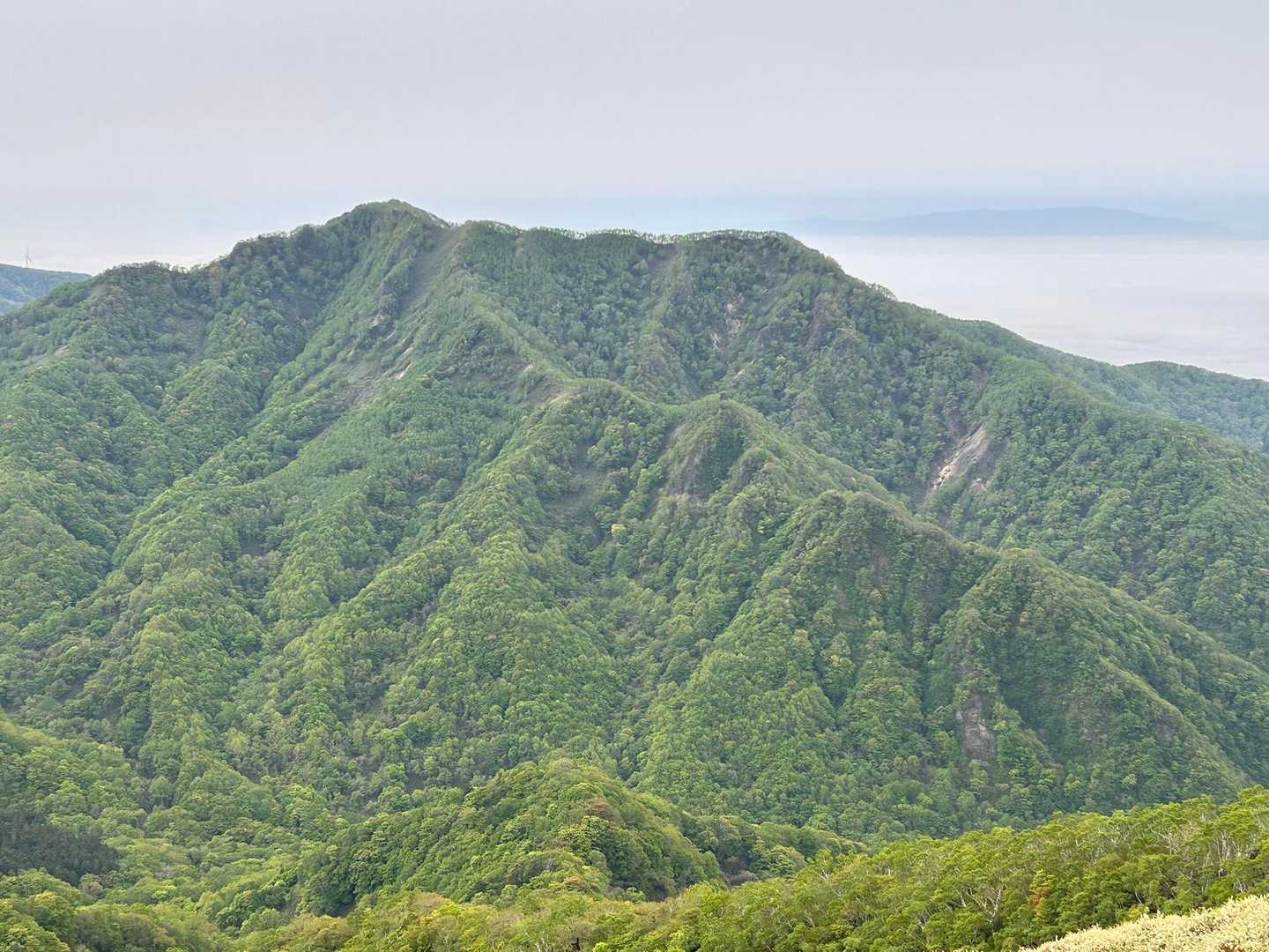 稀府岳
今日は👺天狗岩がよく見えました
