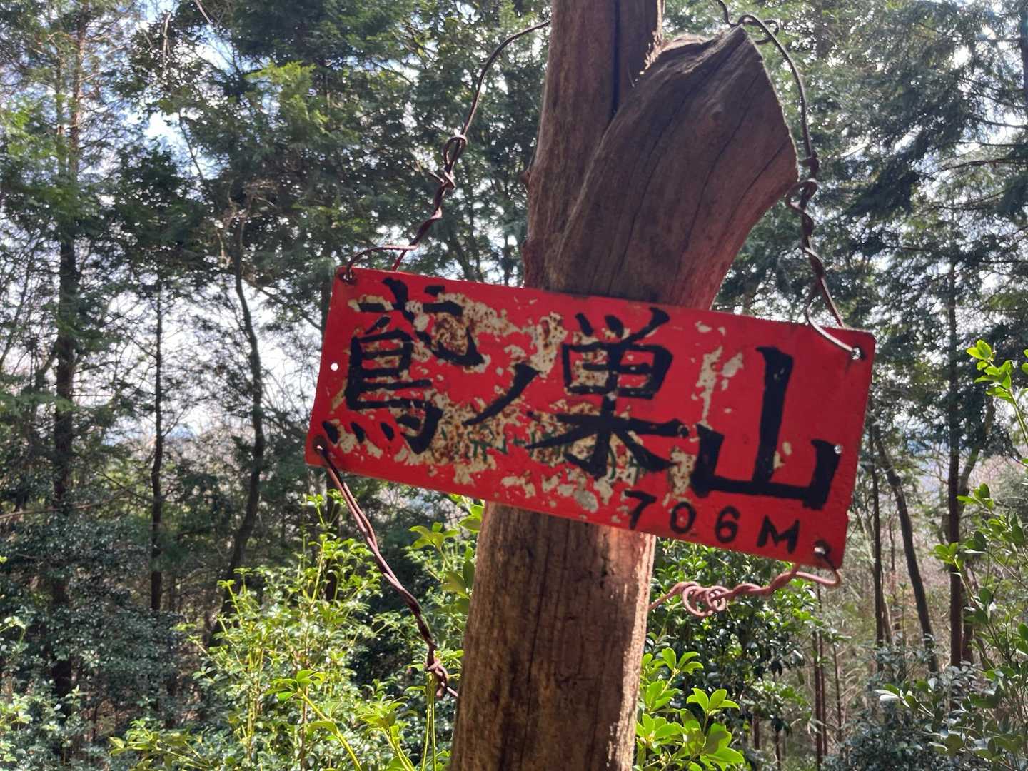 到着！
眺望とかないのでとっとと下山😅
