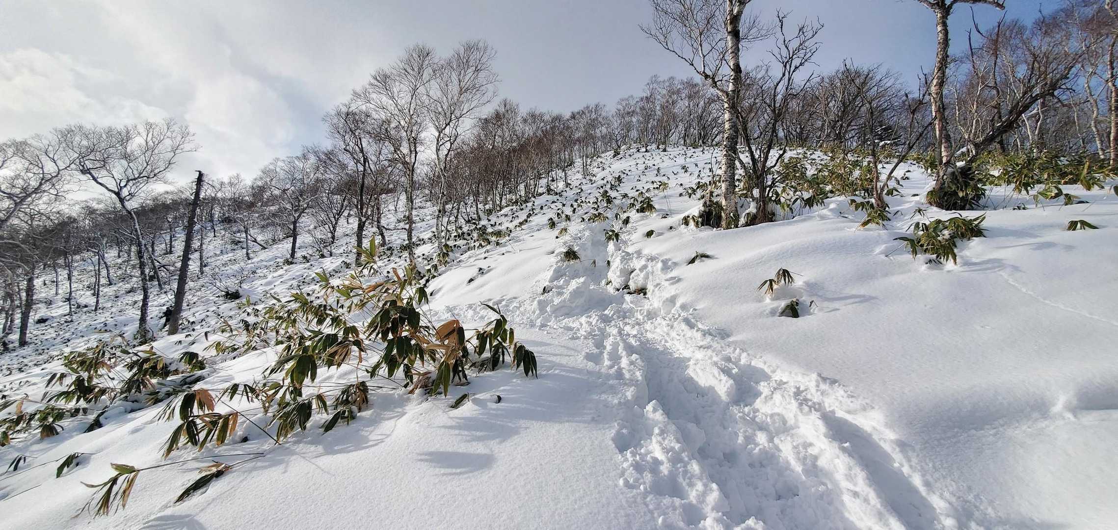 一級トレースの幌平山へ寄り道