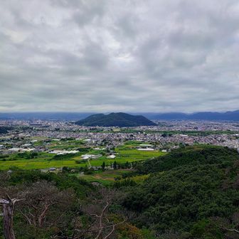 さて、本日の福の島。

渡利の熊は郷野目の熊か、おそらく土湯からのお客様。

遭遇希望致しませんので栗の実食べたらお帰り下さい。