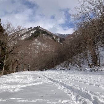 登山口の駐車場🅿️は、めっちゃ耕されてました