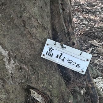 高山に到着