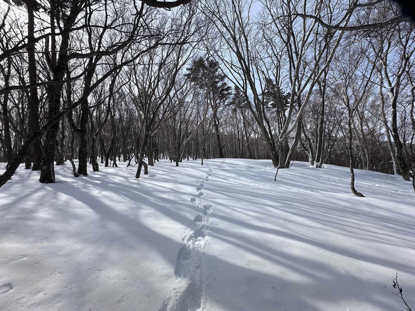 硬い雪だから歩き易くてツボでも大丈夫🙆‍♀️