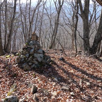 尾根の先端にケルンが有ります
今日はここで引き返します