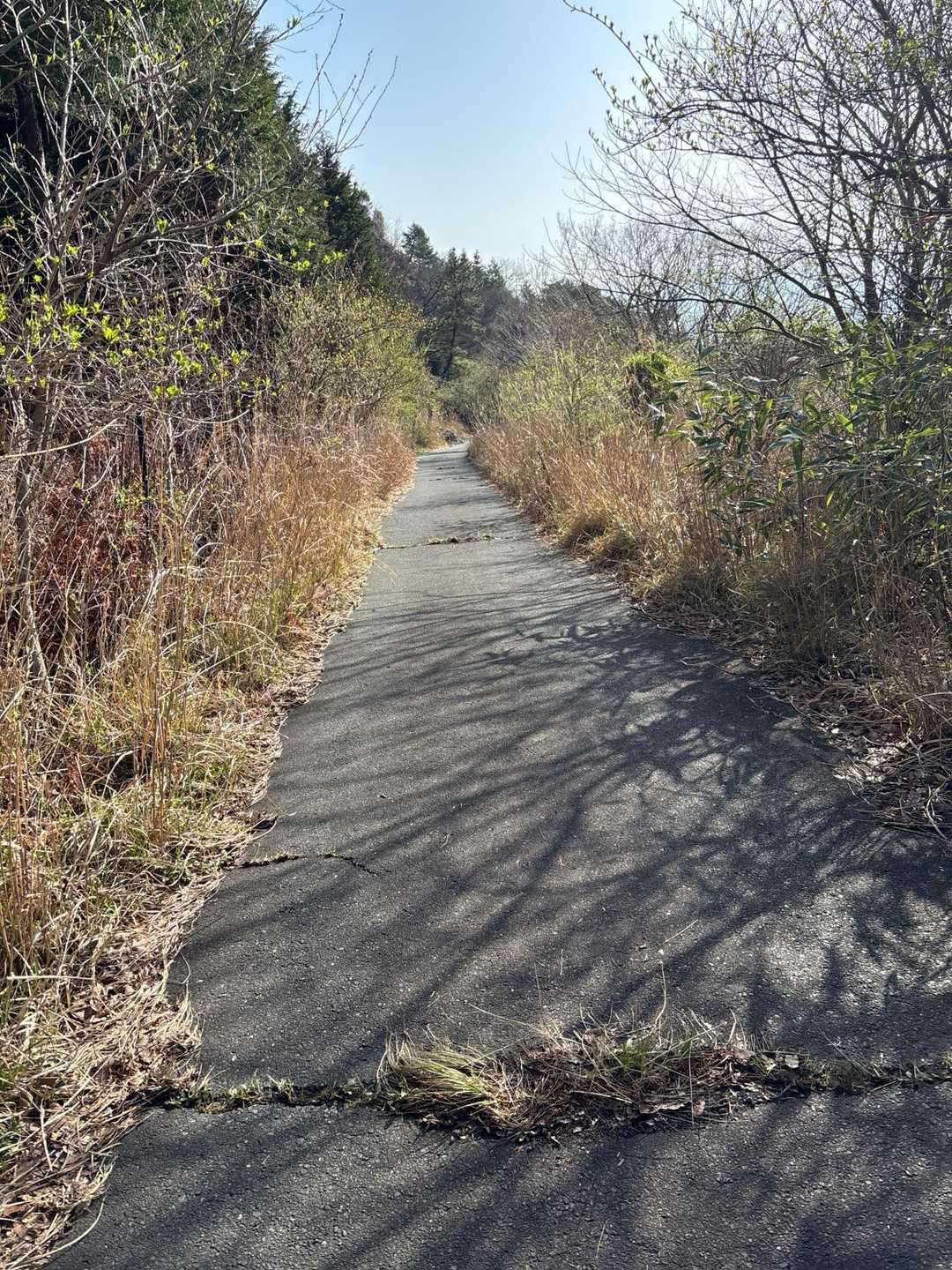 高城山　しばらく降ります