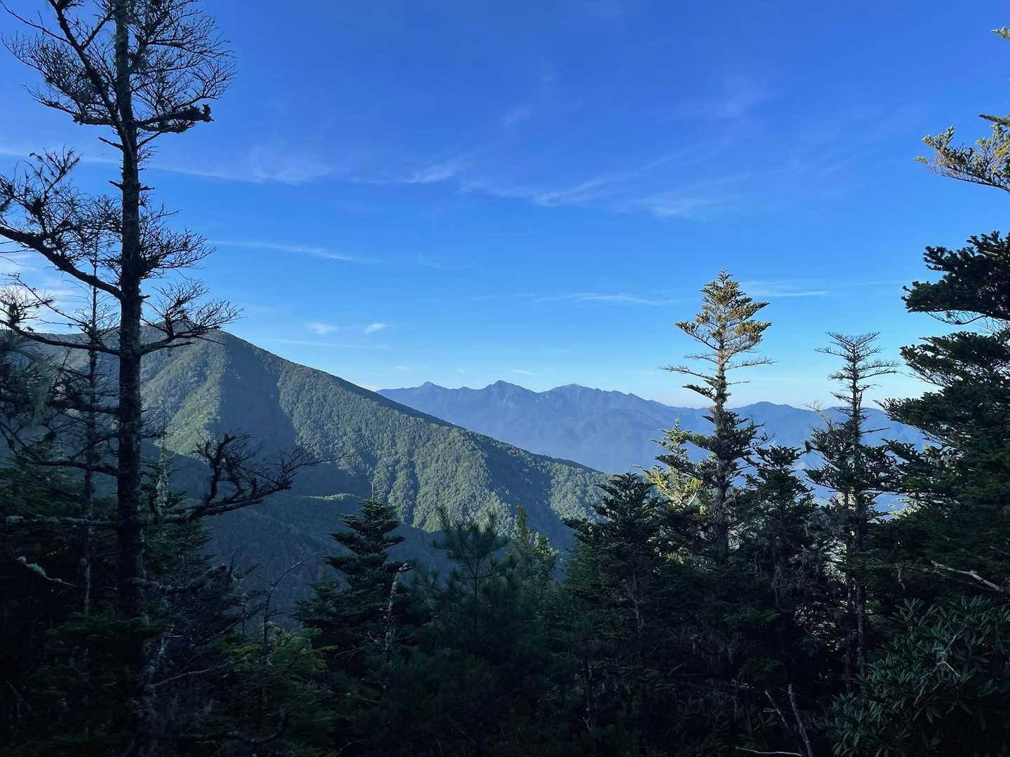 コレコレ❣️
高山での景色を経験すると止められない🥰