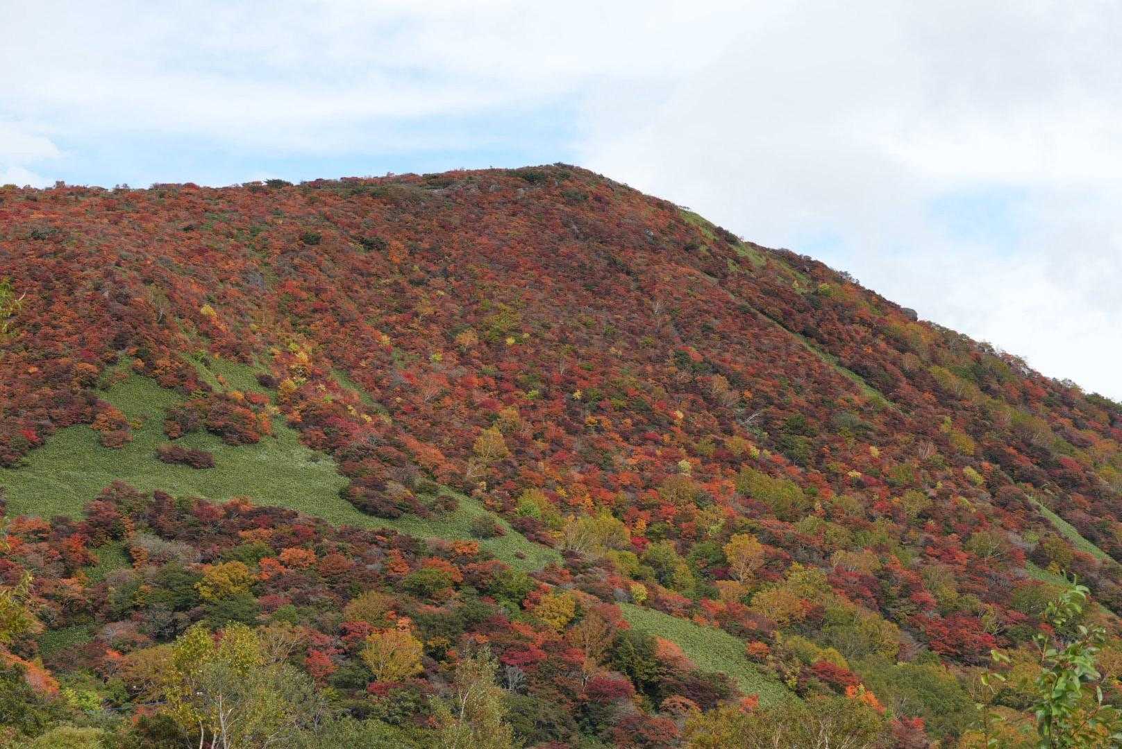 峠の茶屋登山口-朝日の肩 往復コースの写真