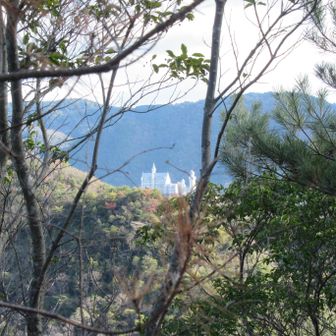 白鳥キャッスル