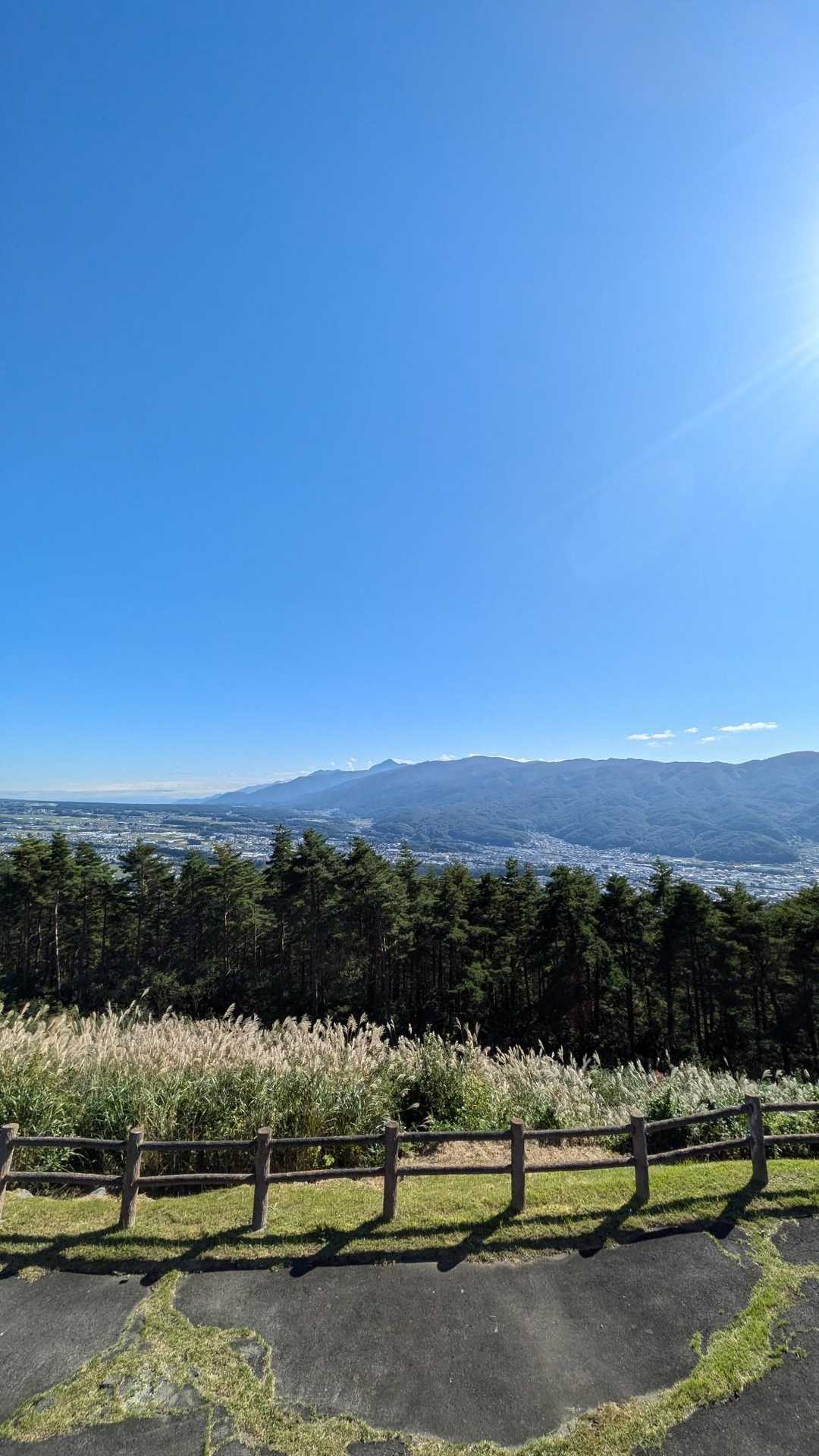 永明寺山 往復コースの写真
