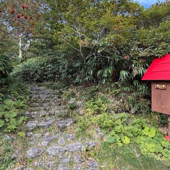 そして無事に下山。
もう最高の鳥海山でした🥰
皆さんもぜひ歩いてみて下さい❣️