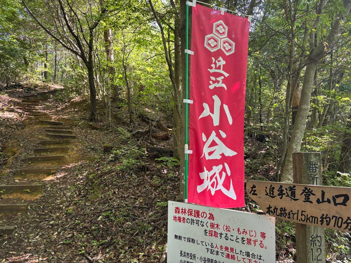 観光の方も行かれるので、綺麗に整備されてます