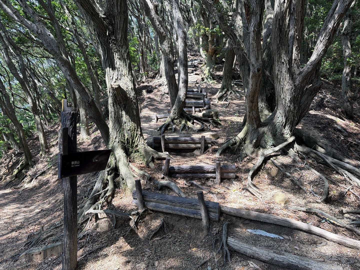 久しぶりに鉄拐山に登ります