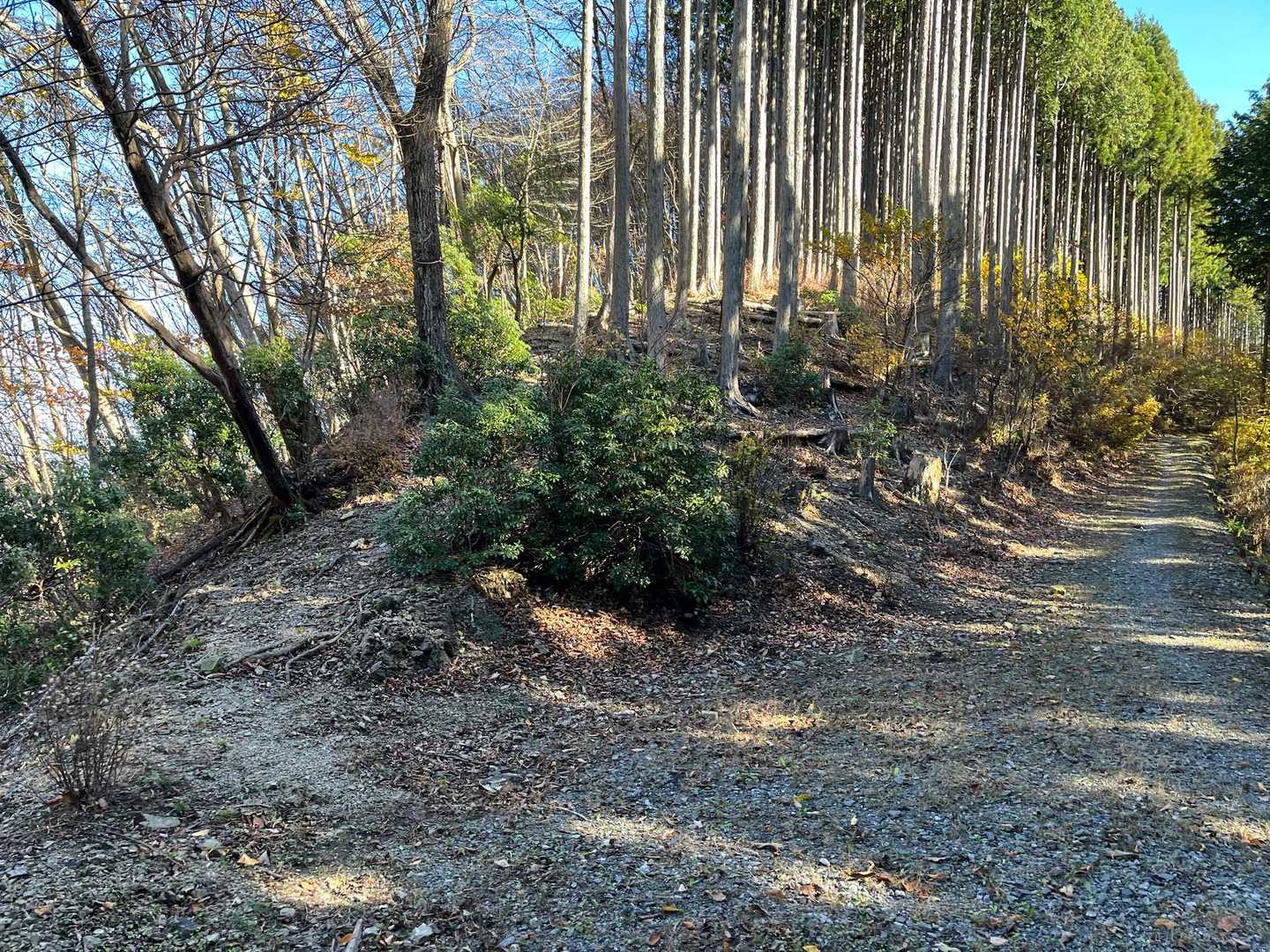 ここも👈はピークが取れます
夫は👈、私はまき道👉
まだよく確認してしてませんが、ピーク踏んでなくても、カウントされてる⛰️があるようです🤭